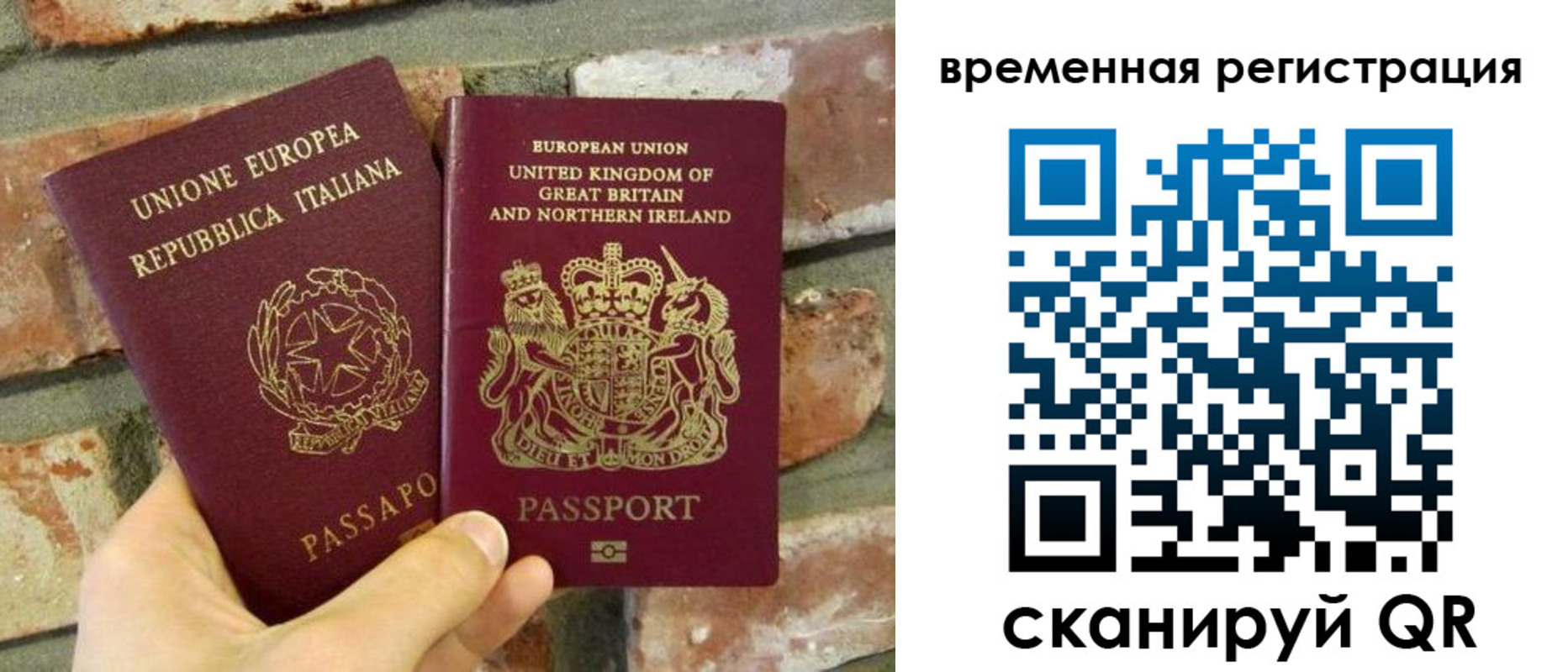 прописка для школы в Дятьково